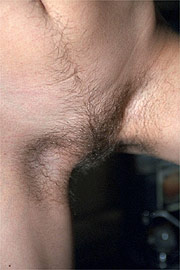 Unshaven Crotch Close Up Viewing
